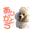 学校生活。（個別スタンプ：21）