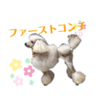 学校生活。（個別スタンプ：23）