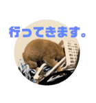 柴犬…？…な犬のスタンプ（個別スタンプ：6）