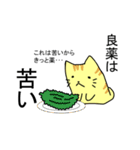 【慣用句】ゆったりしたとらねこ（個別スタンプ：12）