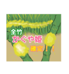 使いどころ探しスタンプ（個別スタンプ：6）
