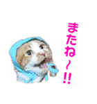 さやによるさらのスタンプ（個別スタンプ：24）