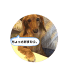 みるくちゃんスタンプ2（個別スタンプ：13）