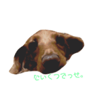 たんそくすたんぷ（個別スタンプ：3）
