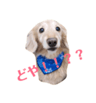 たんそくすたんぷ（個別スタンプ：4）