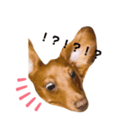 たんそくすたんぷ（個別スタンプ：6）