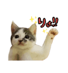 ぽてにゃとぷりちゃん2（個別スタンプ：7）