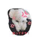 むーちゃん日記。（個別スタンプ：2）