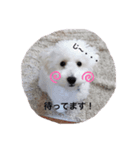 むーちゃん日記。（個別スタンプ：4）