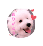 むーちゃん日記。（個別スタンプ：7）