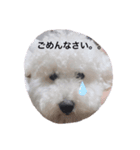 むーちゃん日記。（個別スタンプ：8）