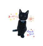 なりんちの黒猫（個別スタンプ：2）