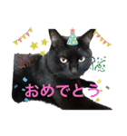 なりんちの黒猫（個別スタンプ：6）