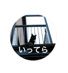 なりんちの黒猫（個別スタンプ：8）