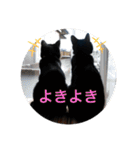 なりんちの黒猫（個別スタンプ：9）