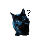 なりんちの黒猫（個別スタンプ：10）