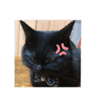 なりんちの黒猫（個別スタンプ：11）
