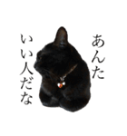 なりんちの黒猫（個別スタンプ：13）