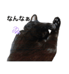 なりんちの黒猫（個別スタンプ：16）