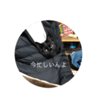 なりんちの黒猫（個別スタンプ：18）