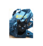 なりんちの黒猫（個別スタンプ：19）