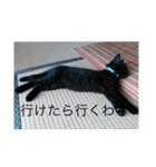 なりんちの黒猫（個別スタンプ：22）
