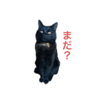 なりんちの黒猫（個別スタンプ：23）