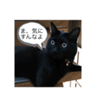 なりんちの黒猫（個別スタンプ：29）