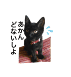 なりんちの黒猫（個別スタンプ：30）