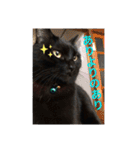 なりんちの黒猫（個別スタンプ：33）