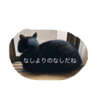 なりんちの黒猫（個別スタンプ：34）
