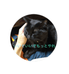 なりんちの黒猫（個別スタンプ：36）