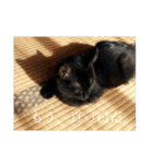 なりんちの黒猫（個別スタンプ：39）