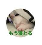 わさびさんⅠ（個別スタンプ：6）