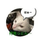 わさびさんⅠ（個別スタンプ：8）
