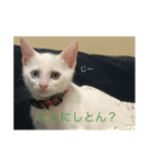 わさびさんⅠ（個別スタンプ：10）