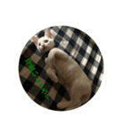 わさびさんⅠ（個別スタンプ：15）