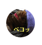 くるみ＆ちゅら②（個別スタンプ：2）