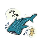 クジラのシール型・夏用スタンプ（個別スタンプ：24）