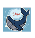 クジラのシール型・夏用スタンプ（個別スタンプ：25）