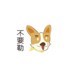 ケジとスツール（個別スタンプ：3）