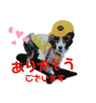Hip hop シェルティ（個別スタンプ：1）