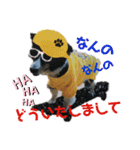 Hip hop シェルティ（個別スタンプ：2）