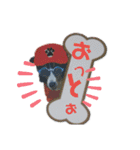 Hip hop シェルティ（個別スタンプ：6）