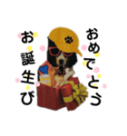 Hip hop シェルティ（個別スタンプ：15）