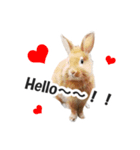 うさぎのもど君（個別スタンプ：2）