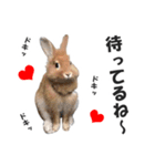 うさぎのもど君（個別スタンプ：11）