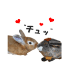 うさぎのもど君（個別スタンプ：23）