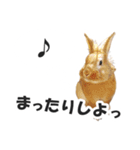 うさぎのもど君（個別スタンプ：24）