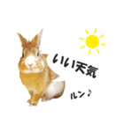 うさぎのもど君（個別スタンプ：32）